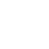 Web Application
